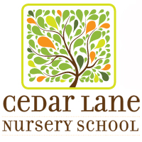 24-25 Cedar Lane Picture Day REORDER 